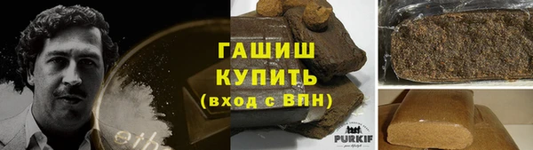 индика Белая Холуница