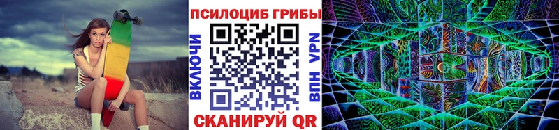 где купить наркотик  Гусев  Галлюциногенные грибы мицелий 