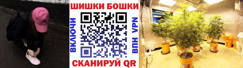 мега маркетплейс  дарнет шоп  Гусев  Каннабис марихуана 